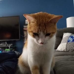 Meet your Posher, G.w.